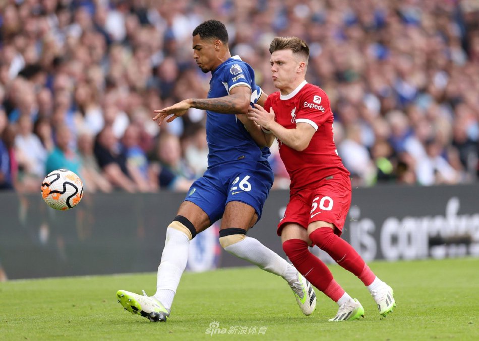 斯卡特迎来 斯卡特迎来